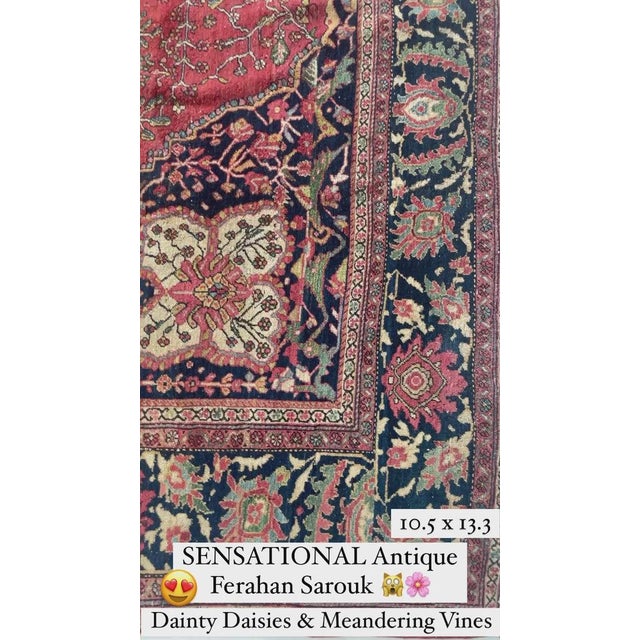 Old-World Antique Ferahan Sarouk Dainty Flora & Suspended Vines Rug 10.5 x 13.3 For Sale - Image 13 of 15