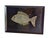 Offered is a large tray by Couroc of Monterey, California with an inlaid fish motif featuring brass encasing pebbled...