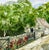 I visited this cottage in Somerset, England in 2019. This is a Giclee print of the original watercolor painting,...