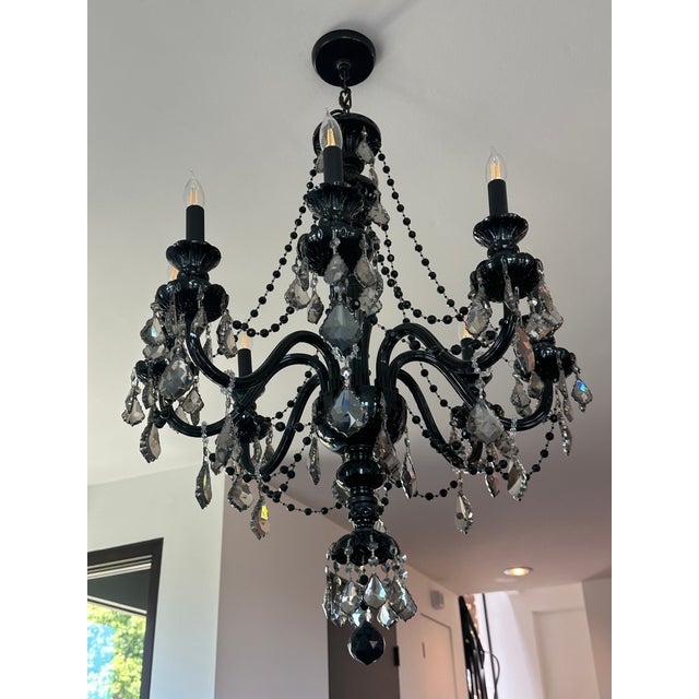 2000 - 2009 MC Noon Black Crystal 8-Light Chandelier – Custom Crystal Chains For Sale - Image 5 of 6