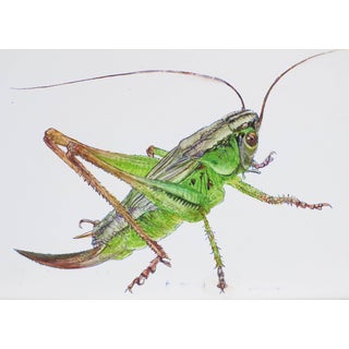 Juris Utans, Bright Green Grasshopper IV, 2021, Mixed Media and Paper For Sale