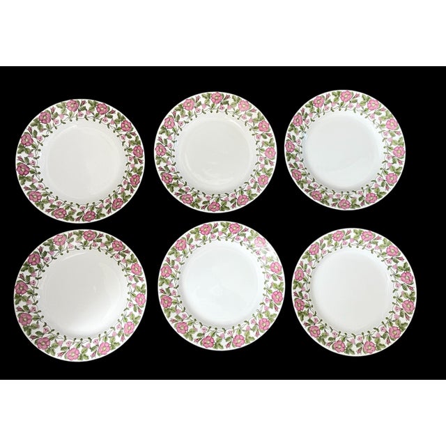 12 Gustavsberg Törnrosa (Sleeping Beauty), Salad Dessert Plates Margareta Henn For Sale In San Francisco - Image 6 of 7