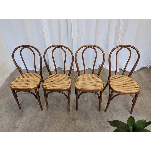 Selling as a set of 4. Vintage dining chairs are made from wood with bentwood technique and cane seat. Chairs were made in...
