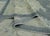 Taupe Turkish Oushak Rug 9'9" x 13'11" #18635 For Sale - Image 8 of 8