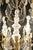 Large 19th Century Napoleon III Louis XV Chandelier in Bronze and Crystal For Sale - Image 6 of 10