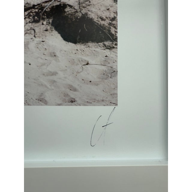 2020s Akila Berjaoui “Formentera 10” — Signed Fine-Art Photograph For Sale - Image 5 of 9