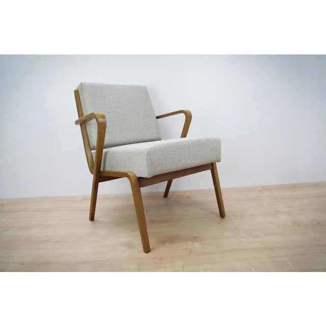 Wood Armchair by Selman Selmanagic for Veb Deutsche Werkstätten Hellerau, 1950s For Sale - Image 7 of 7