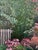 Contemporary Large Botanical Garden Landscape Oil Painting, Framed For Sale - Image 4 of 12