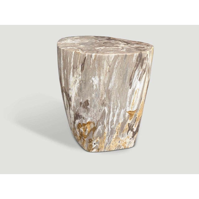 2010s Andrianna Shamaris Impressive High Quality Ancient Petrified Wood Side Table For Sale - Image 5 of 6