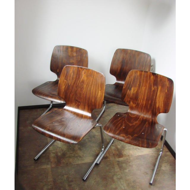 Flötotto Chairs by Kusch+Co, 1960s, Set of 4, in Very Good conditions. Designed 1960 to 1969