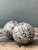 Vintage Decorative Wood Spheres - A Pair For Sale - Image 9 of 12