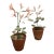 Pair of Artisan Flowers For Sale