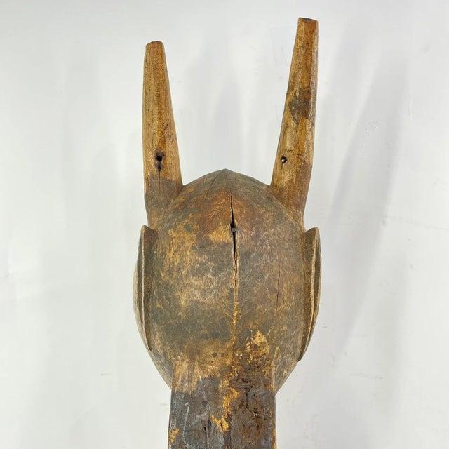 African Early 20th Century Senufo Firespitter Mask Côte d'Ivoir For Sale - Image 3 of 7