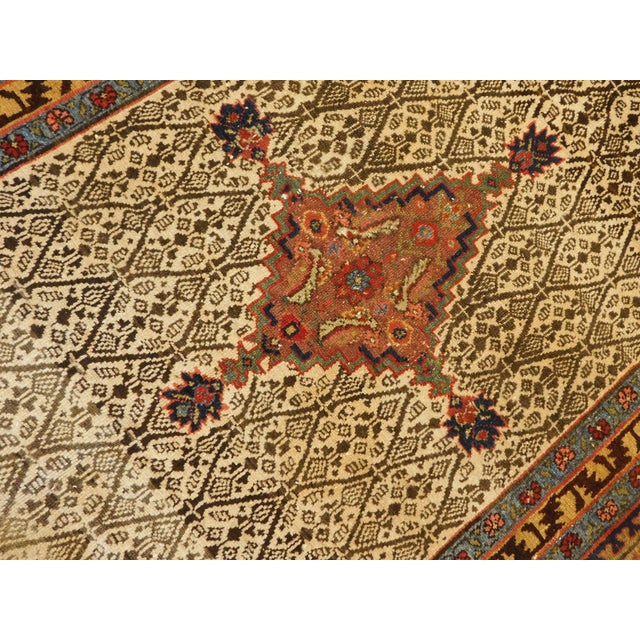 Hand Knotted Northwest Persian Camel Hair Sarab Gallery rug.4"9"x 11' For Sale - Image 9 of 18