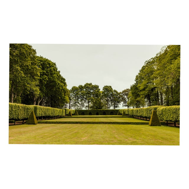 Guy Sargent, The Garden, Photograph For Sale