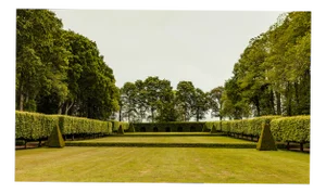 Guy Sargent, The Garden, Photograph