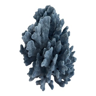 Natural Blue Coral Specimen For Sale
