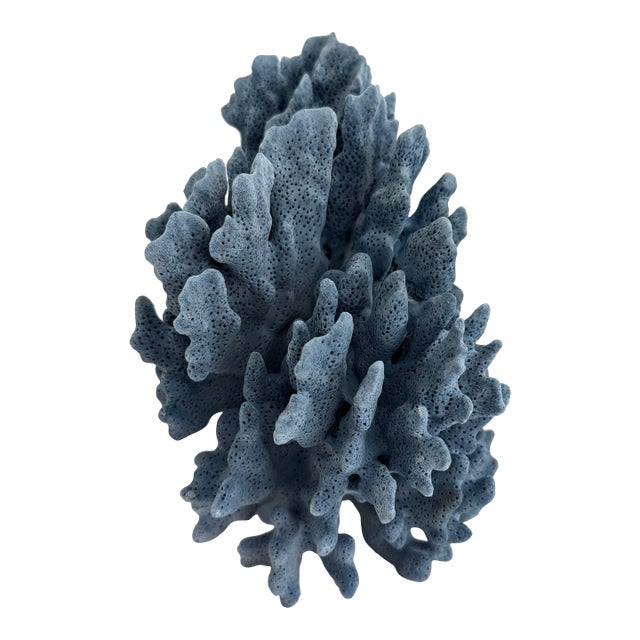 Natural Blue Coral Specimen For Sale