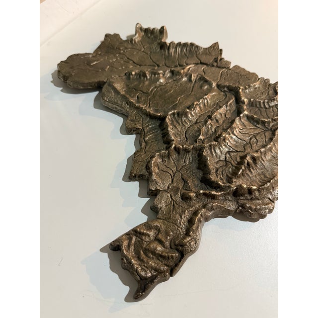 Hand Forged Bronze Map of Brazil With Elevated Topography, 1980s For Sale - Image 6 of 11