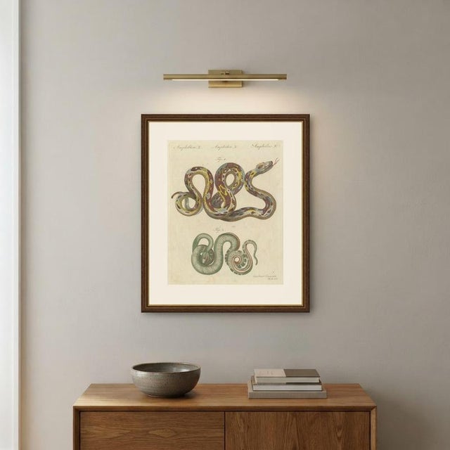 Bertuch, Two Patterned Snakes in Coils, 1805, Print For Sale - Image 10 of 12