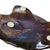 Lalique France Tortue Caroline Amber & Satin Crystal Turtle Figurine For Sale - Image 11 of 12