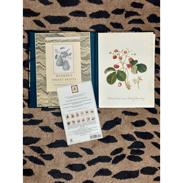 American William Hooker Botanical Fruit Illustration Portfolio - 12 Piece Gallery Grid Set For Sale - Image 3 of 8