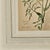 Realism Watercolor Botanical, u.s.a., Dated 1931 For Sale - Image 3 of 5