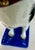 Pair of Porcelain Pug Dog Figurines on Cobalt Blue Bases, Late 19th Century For Sale - Image 17 of 18