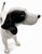 Mid-Century Modern 1950s Mid-Century Ceramic Pointer Dog Figurine – Black & White Crackle Glaze Hunting Dog For Sale - Image 3 of 5