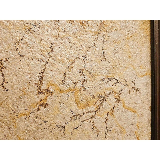 1930s Antique Brazilian Sandstone Framed Plaque Dendrite Fossil Ferns Miniature Geologic Fern For Sale - Image 5 of 14