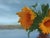 2010s Oil Painting Bouquet of Sunflowers Vasily Korkishko For Sale - Image 5 of 6
