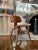 Charles and Ray Eames for Evans Early Herman Miller Dcw Chair For Sale - Image 10 of 10