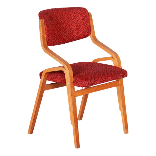 Mid-Century Czech Chair in Maple attributed to Ludvik Volak for Drevopodnik Holesov, 1960s For Sale
