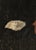 Portrait of a Lawyer, 1800s, Oil Painting on Canvas For Sale - Image 7 of 14