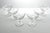 Chinoiserie 1910s Antique Fostoria “Lotus” 6 Etched Optic Coupe Champagne Glasses For Sale - Image 3 of 5