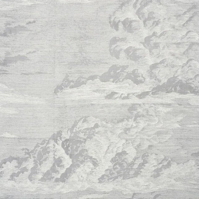 Sample- Schumacher Cloud Toile Fabric in Fog For Sale