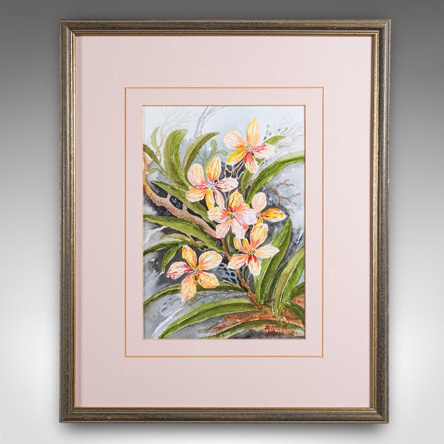 Modern Set of 4 Vintage Botanical Watercolour Pictures, Malaysian Art, Orchids, Framed For Sale - Image 3 of 12