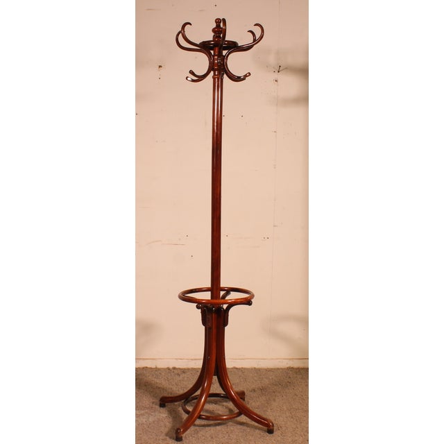 Art Nouveau Parrot Coat Rack, 1920s For Sale - Image 9 of 9