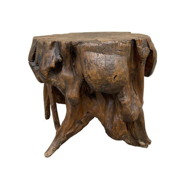 18th Century Chinese Qing Dynasty Scholar's Rootwood Stool For Sale In Chicago - Image 6 of 13