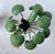 Vintage Pair Miniature Tole Palm Tree Sculptures For Sale - Image 10 of 10