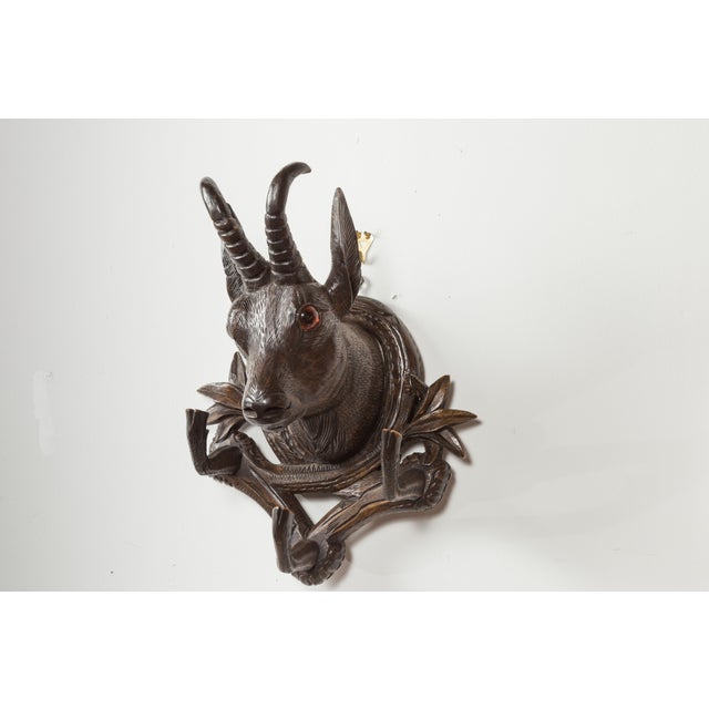 A pair of Black Forest carved wooden chamois heads hat or coat racks from the late 19th century, with foliage accents....