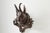 A pair of Black Forest carved wooden chamois heads hat or coat racks from the late 19th century, with foliage accents....