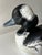 Wood Vintage Hand Painted and Hand Carved Signed Buffelhead Drake For Sale - Image 7 of 12