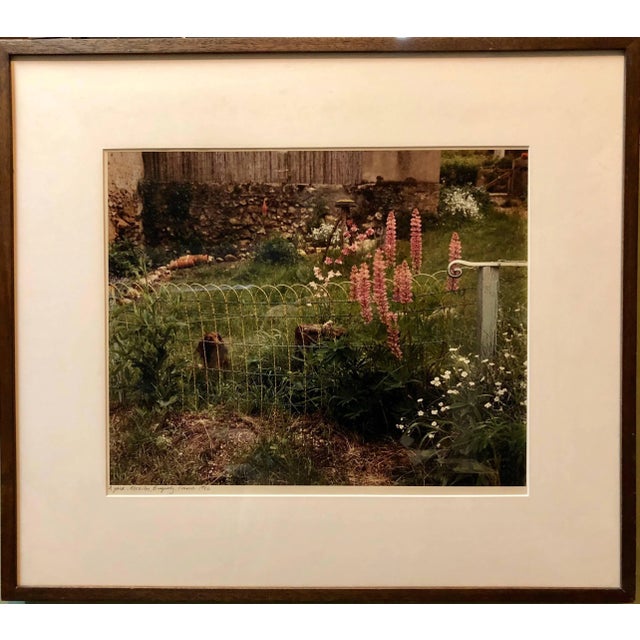 1980s Frank Gohlke, A Yard, Mezilles Burgundy France. Field Of Flowers 1986 Vintage Color Photograph, 1986 For Sale - Image 5 of 5