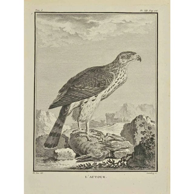 Around is an etching realized by Carl Guttenberg in 1771. The artwork Belongs to the suite "Natural, general and...