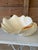 White Organic Modern Coastal Clam Shell Vessel For Sale - Image 8 of 12