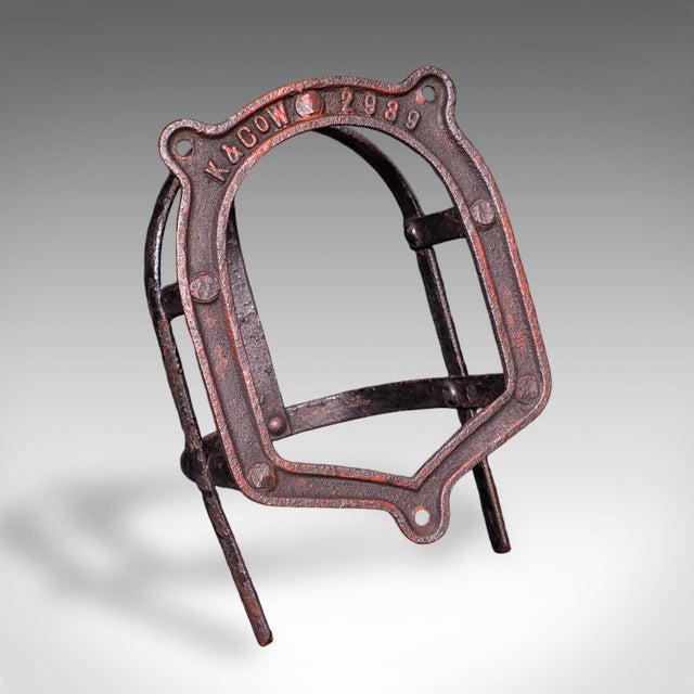 Set of 4 Antique Crop Hanging Racks, English, Iron, Hooks, Equestrian, Victorian For Sale - Image 12 of 12