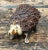 Vintage Textured Ceramic Hedgehog Sculpture For Sale - Image 9 of 14
