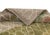 A patchwork of landscapes beneath a web of light: color and pattern in joyful layers. A continuous ivory honeycomb lattice...