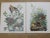 1964 "The Audubon Folio" Original Edition Set of Bird Study Prints Text Book by George Dock Jr. For Sale - Image 10 of 13